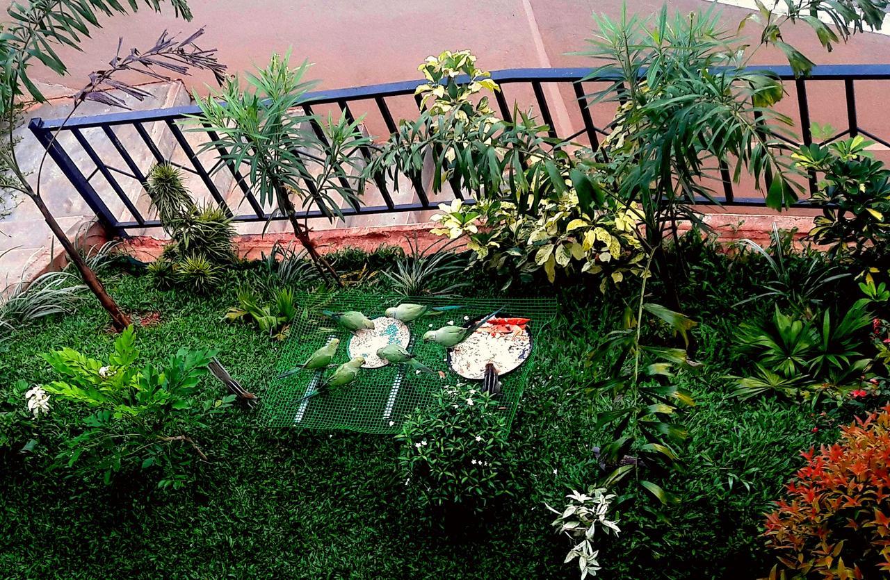 Saru Holiday Apartment - Up To 6 Guests Kandy Dış mekan fotoğraf